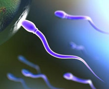Sperme direnç gösteren yumurtaya uygulanan elektroşok ile gebelik elde edilebiliyor. 