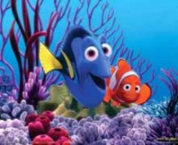 Kayıp balık Nemo ve arkadaşlarının nesli tehlikede.