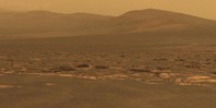 Kurtçuklar Mars’ta hayatta kaldı
