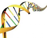 DNA dizilimleri için devrim