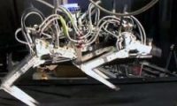“Robot Çita” hız rekoru kırdı