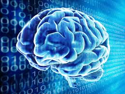 Teknoloji insan beynine yelken açıyor