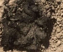 1500 yıllık “Denizli” kumaşı bulundu