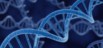 DNA’da gizli katman bulundu