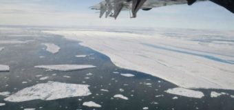 Serin yaz, Kuzey Buz Denizi’ne yaradı