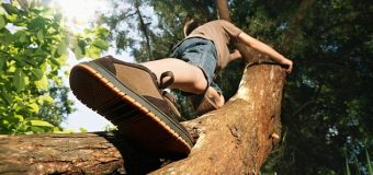 Ağaca tırmanmak hafızayı güçlendiriyor