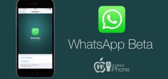 WhatsApp Beta kullanıcı programını başlatıyor