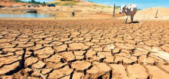 NASA: Türkiye son 900 yılın en kötü kuraklığını yaşıyor